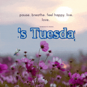 Happy Tuesday: Pause, Breathe, Live, Love