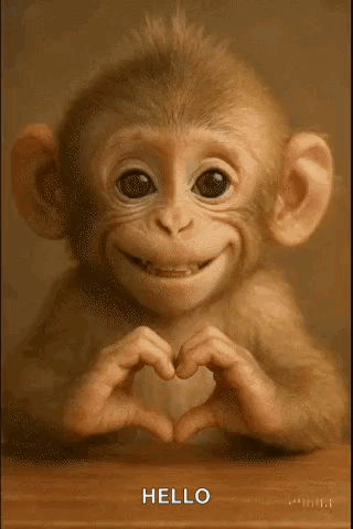 Love I Love You