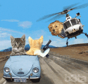 Cats and Dogs Car Chase with Helicopter