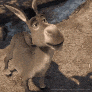 Shrek's Donkey Funny Face