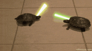 Epic Turtle Lightsaber Battle