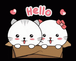 Cute Cats Hello Sticker