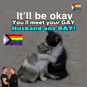 Gay Husband Meme: Cats Hugging