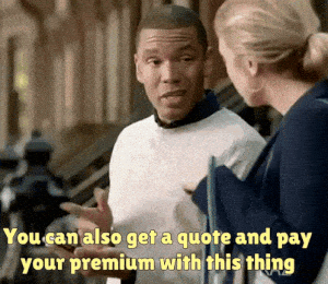Bon Jour French Model State Farm Commercial Advertisement Internet Ad They Can'T Put Anything On The Internet That Isn'T True