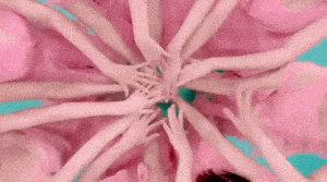 Iz One Bloom: Pink Hands in a Circle