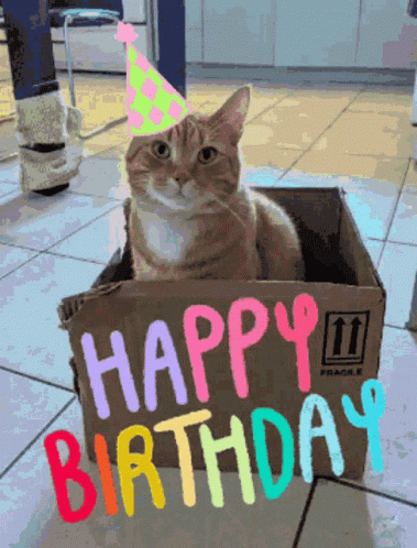 Happy Birthday Cat in a Box