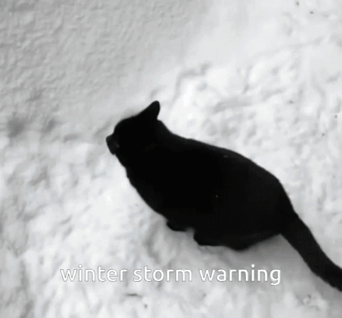 Eas Weather