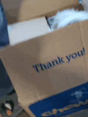 Cute Cat in 'Thank You' Box