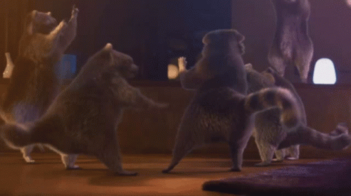 Raccoons Dance Party