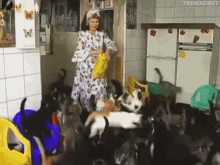 Feeding Frenzy: Woman & Many Cats