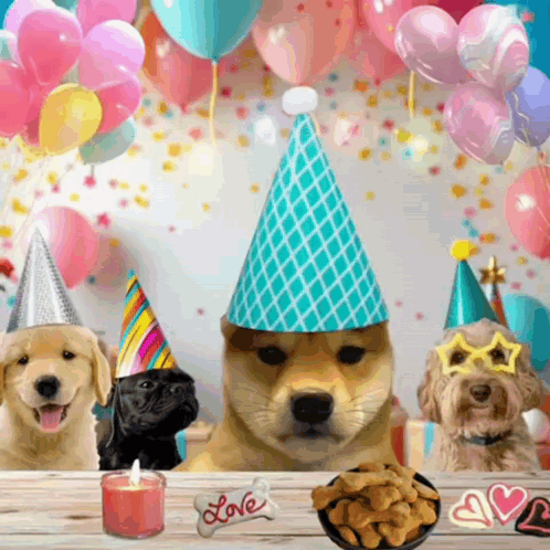 Dogs Celebrate Birthday Party with Hats and Treats