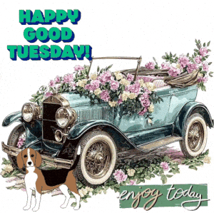 Happy Good Tuesday Car and Dog