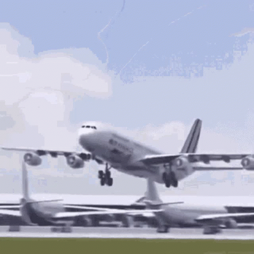 Funny Plane Flapping Wings & Crash Landing