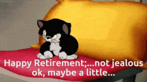 Happy Retirement: Not Jealous Cat Pout
