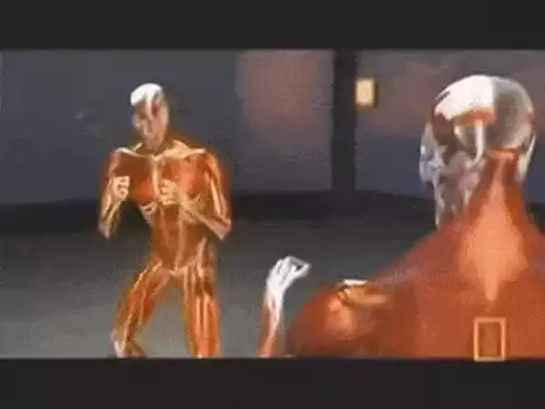 Human Anatomy: Knock Out Soul