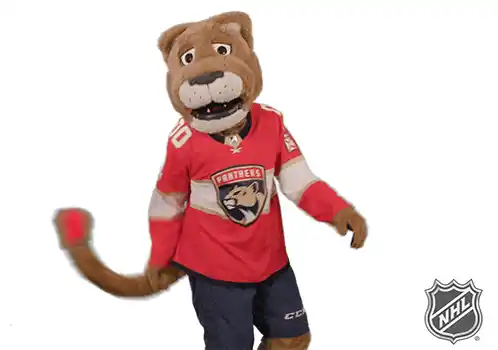 Lets Go Cats Florida Panthers