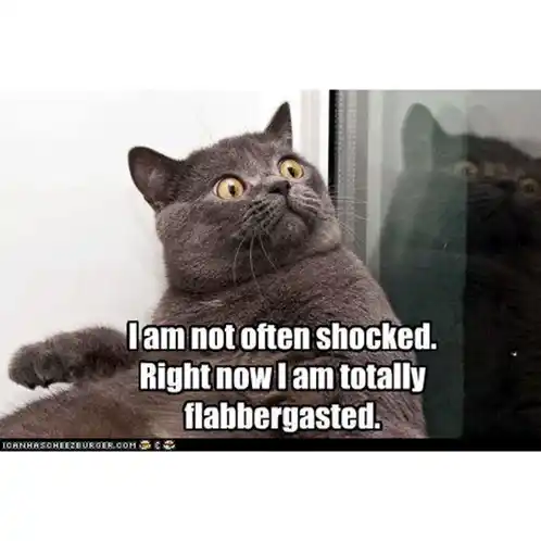 Funny Sci-Fi Cat Memes: Star Wars & Star Trek Humor