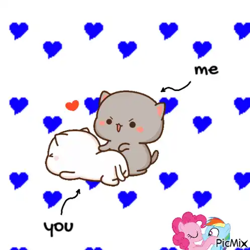 Cute Me and You Cats Cuddling