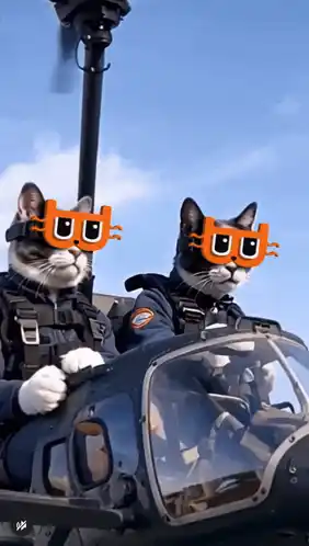 Funny Cats in Helicopter Meme