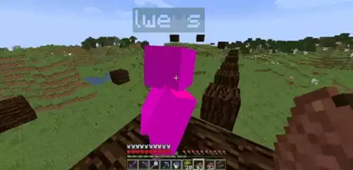 Funny Minecraft Punch