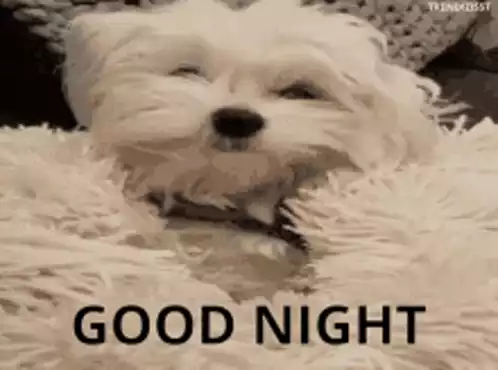 Sleepy Dog Says Good Night