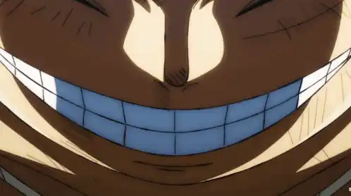 Monkey D Luffy One Piece