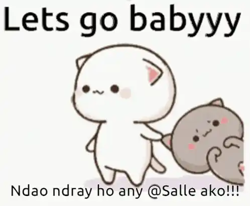 Ndao Salleako: Lets Go Babyyy Cats
