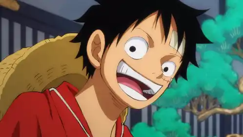 One Piece Luffy