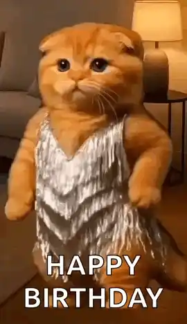 Orange Cat Dancing