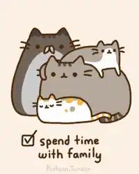 Pusheen Cat Family: Spend Time Together