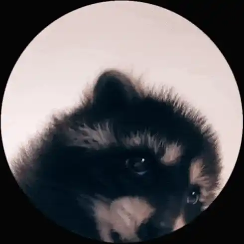 Pedro Raccoon Dance Meme