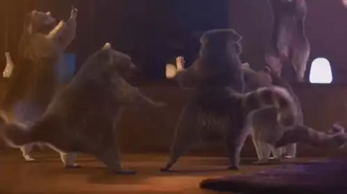 Raccoons Dance Party