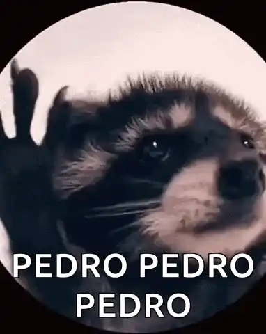 Raccoon Rave