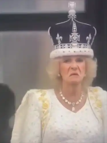 Queen Camilla's Funny Royal Face