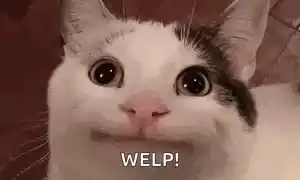 Tight Smile Cat Cat Tight Smile