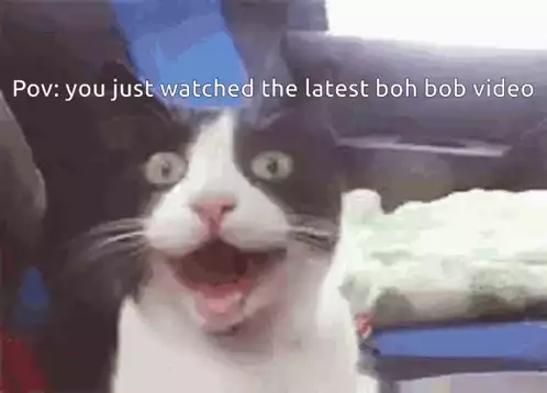 Surprised Cat: Boh Bob Undertale Fortnite