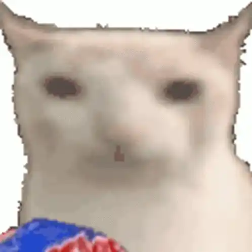 Verycat Cateat: Funny Cat Eating Snack