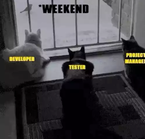 Weekend Bugs: Developer, Tester, PM Cats