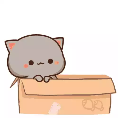 Cute Cartoon Cats in a Box: Yo Cat!