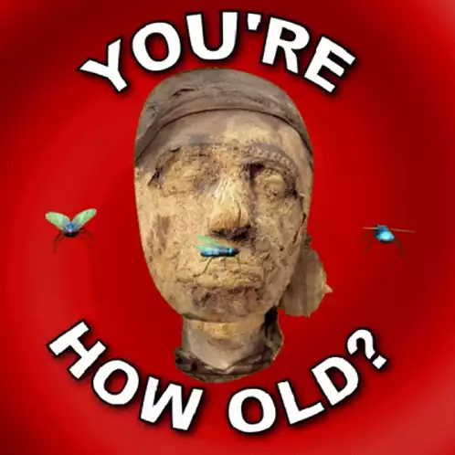 You're How Old? Funny Birthday Mummy